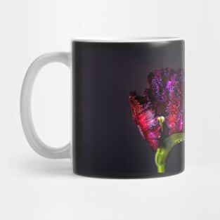 Black parrot tulip Mug